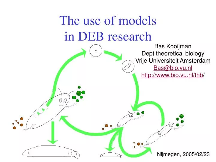 the use of models in deb research