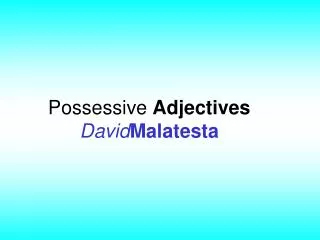 possessive adjectives david malatesta