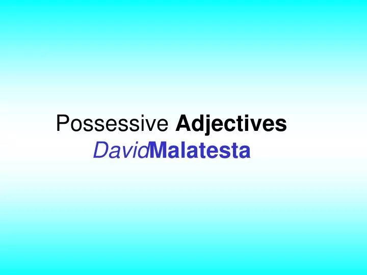 possessive adjectives david malatesta