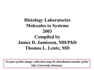 Histology Laboratories Molecules to Systems 2003 Compiled by James D. Jamieson, MD/PhD