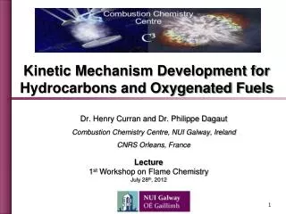 Dr. Henry Curran and Dr. Philippe Dagaut Combustion Chemistry Centre, NUI Galway, Ireland