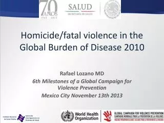 Homicide/fatal violence in the Global Burden of Disease 2010