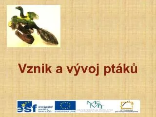 vznik a v voj pt k