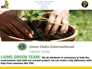 Lions Green Team