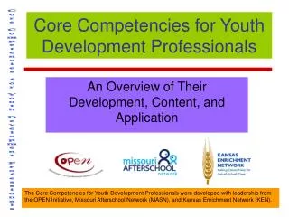 Core Competencies for Youth Development Professionals
