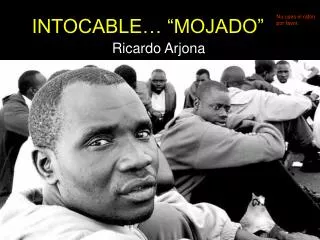 intocable mojado