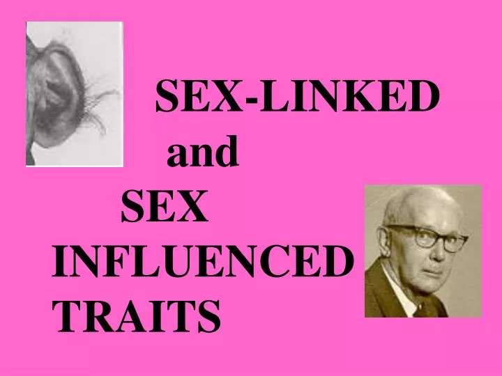 sex linked and sex influenced traits