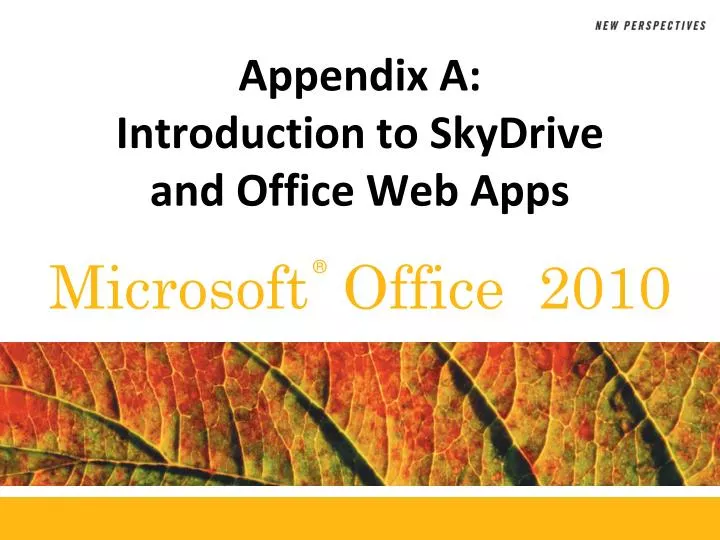 appendix a introduction to skydrive and office web apps