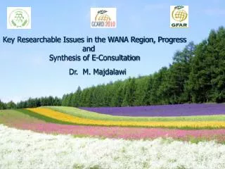 Key Researchable Issues in the WANA Region, Progress and Synthesis of E-Consultation