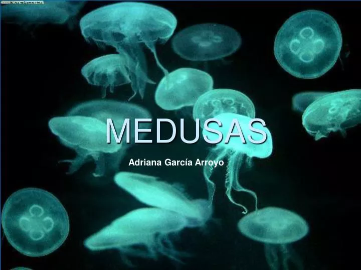 medusas