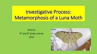 Investigative Process: Metamorphosis of a Luna Moth