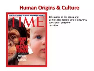 Human Origins &amp; Culture