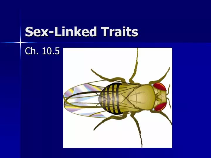 sex linked traits