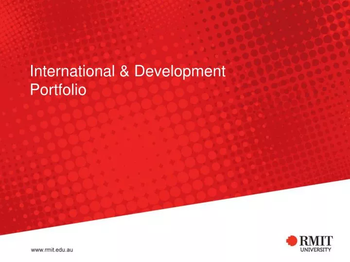 international development portfolio
