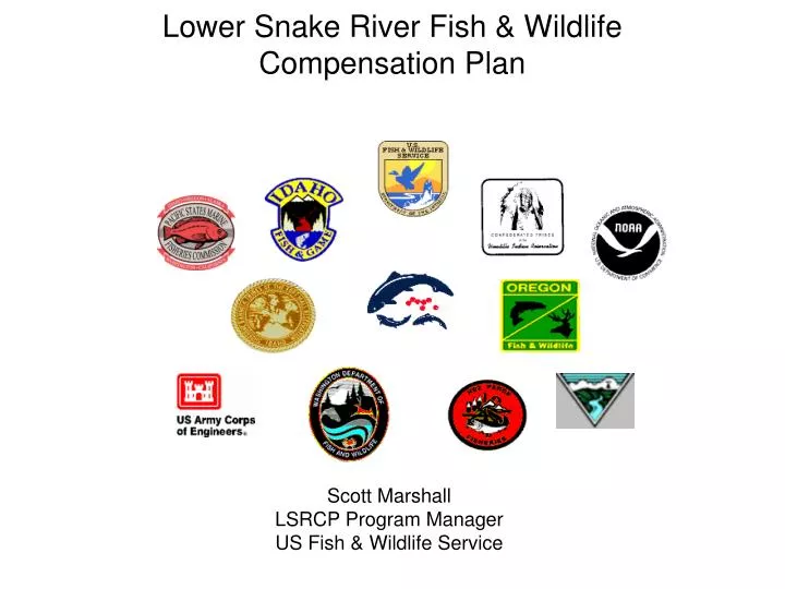 lower snake river fish wildlife compensation plan