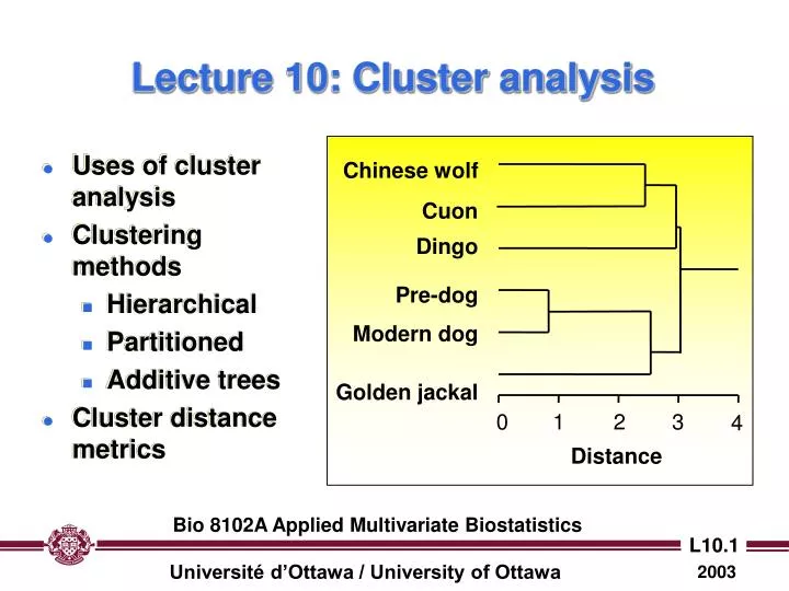 lecture 10 cluster analysis