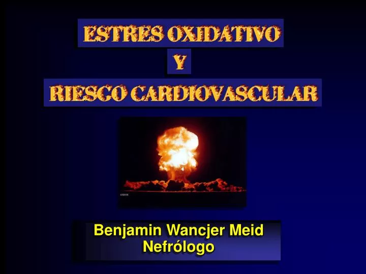 benjamin wancjer meid nefr logo