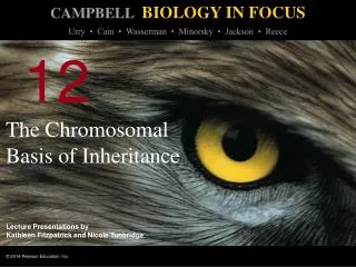 The Chromosomal Basis of Inheritance