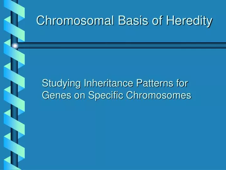 chromosomal basis of heredity