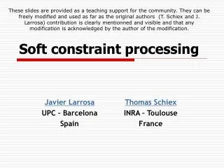 Soft constraint processing