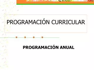 programaci n curricular
