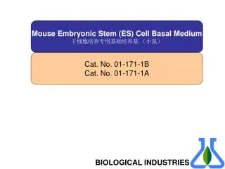 Mouse Embryonic Stem (ES) Cell Basal Medium ???????????? ????
