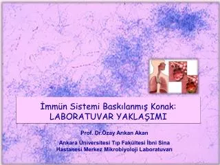 mm n sistemi bask lanm konak laboratuvar yakla imi