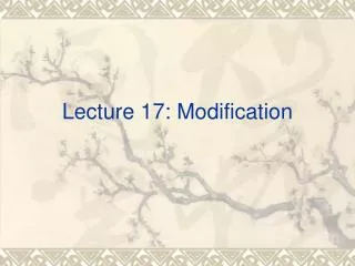 Lecture 17: Modification