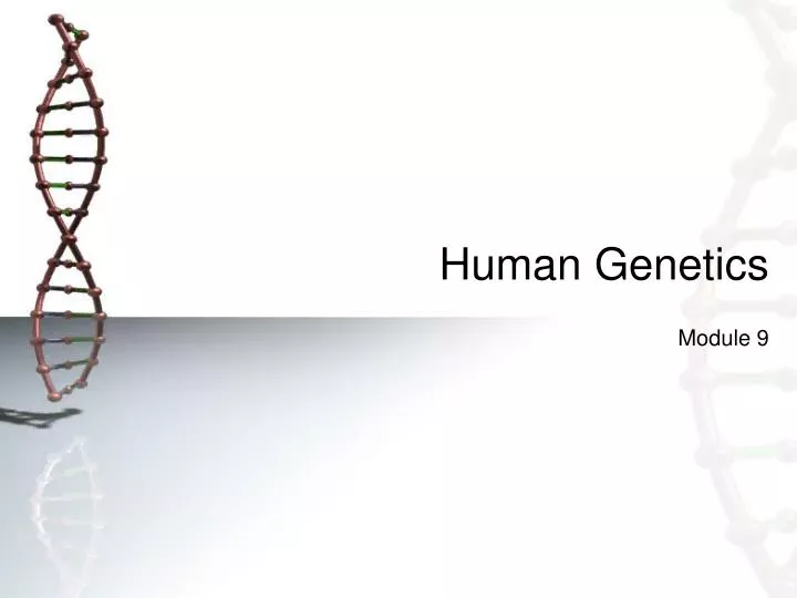 human genetics