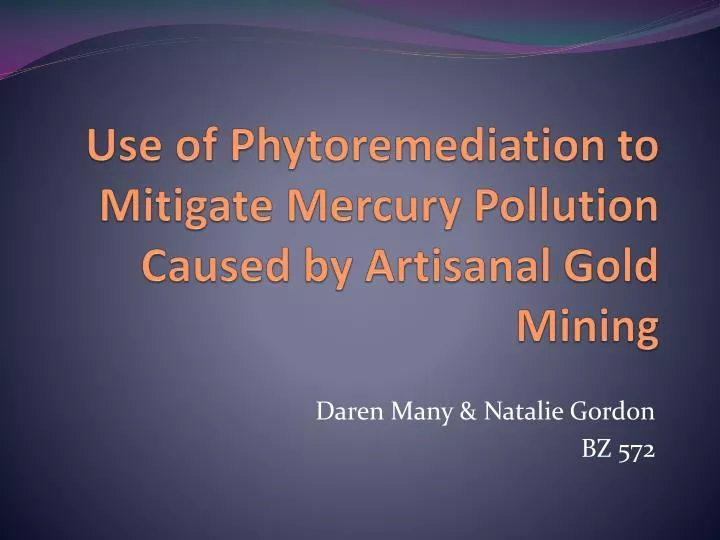 use of phytoremediation to mitigate mercury pollution caused by artisanal gold mining