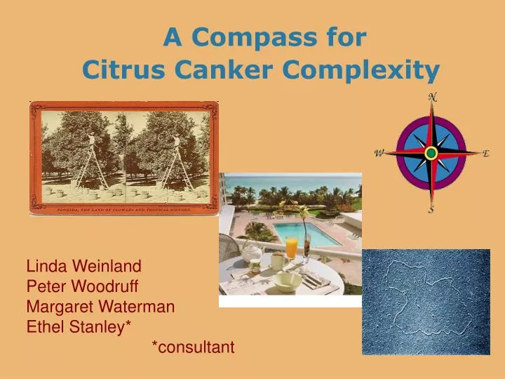 a compass for citrus canker complexity