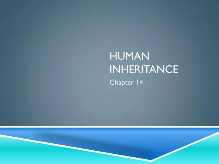 human inheritance