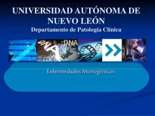 enfermedades monog nicas