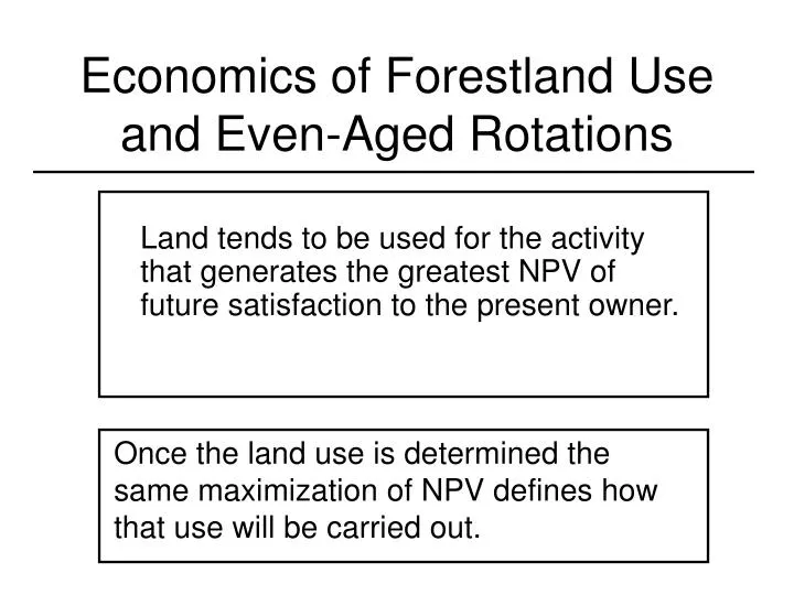 economics of forestland use and even aged rotations