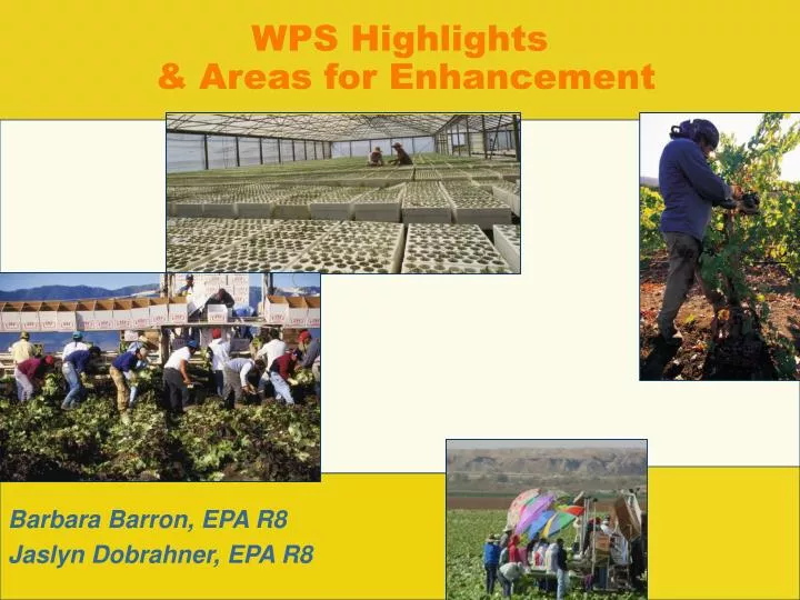 wps highlights areas for enhancement