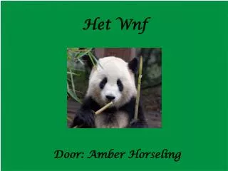 het wnf