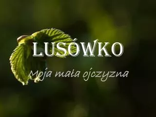 lus wko