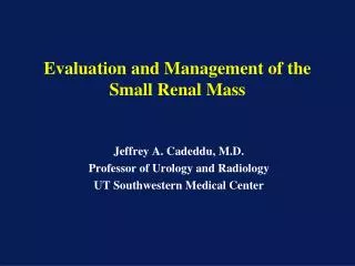 Evaluation and Management of the Small Renal Mass