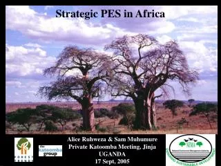Strategic PES in Africa