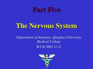 Part Five The Nervous System