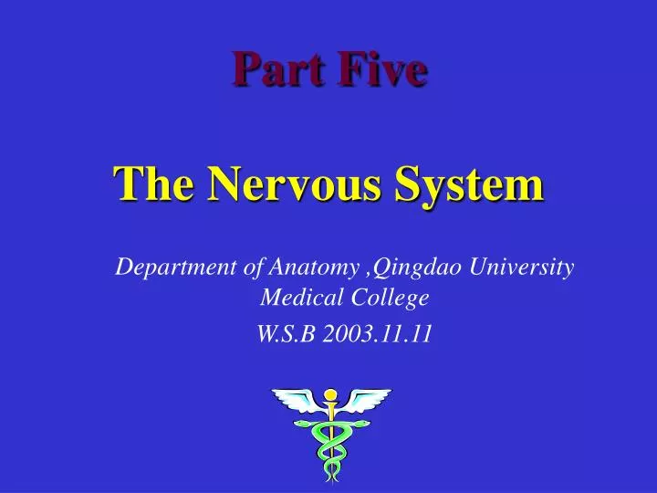 part five the nervous system