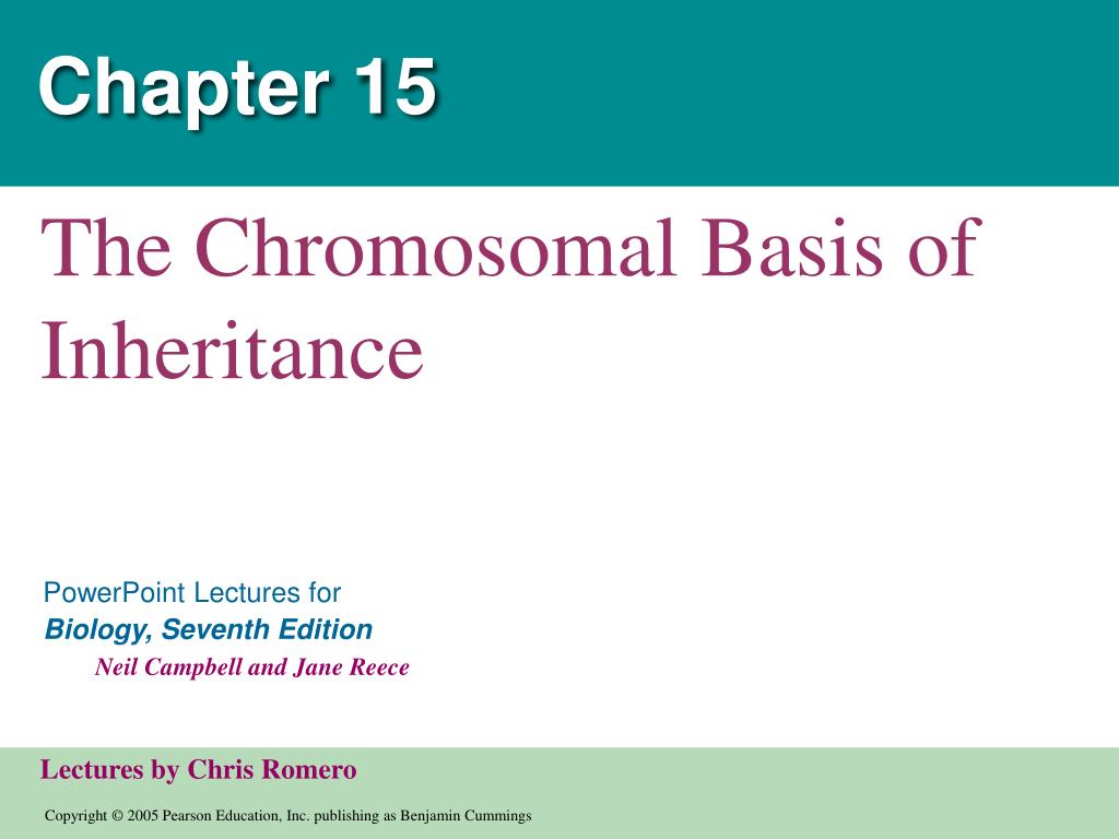 PPT - Chapter 15 PowerPoint Presentation, free download - ID:6608293