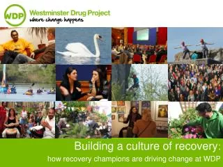building a culture of recovery how recovery champions are driving change at wdp