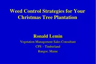 Weed Control Strategies for Your Christmas Tree Plantation