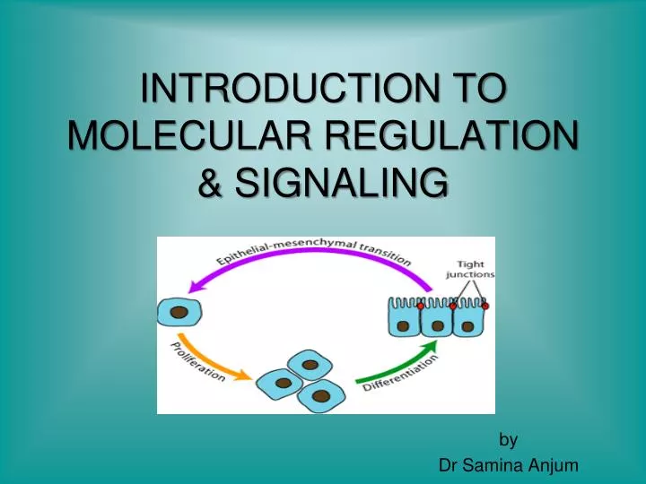 introduction to molecular regulation signaling