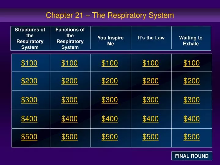 chapter 21 the respiratory system
