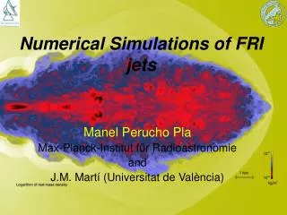 Numerical Simulations of FRI jets