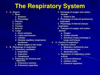 The Respiratory System