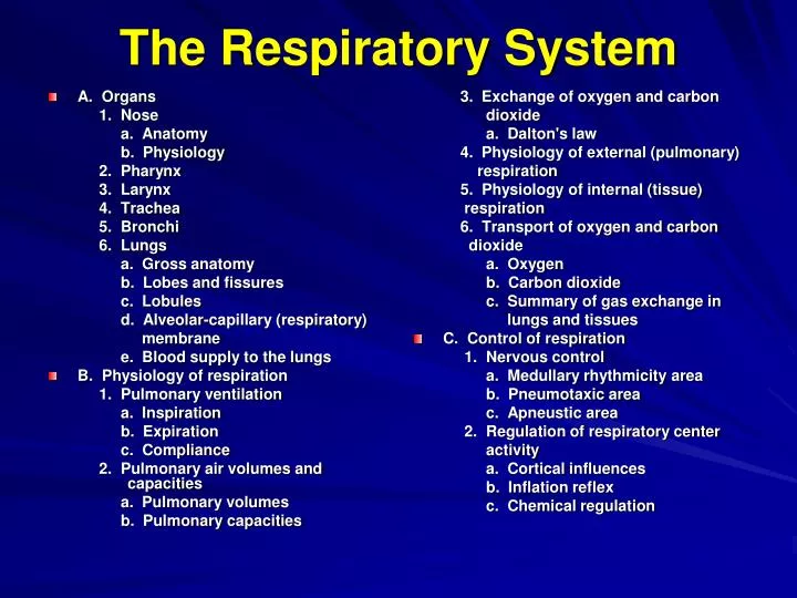 the respiratory system