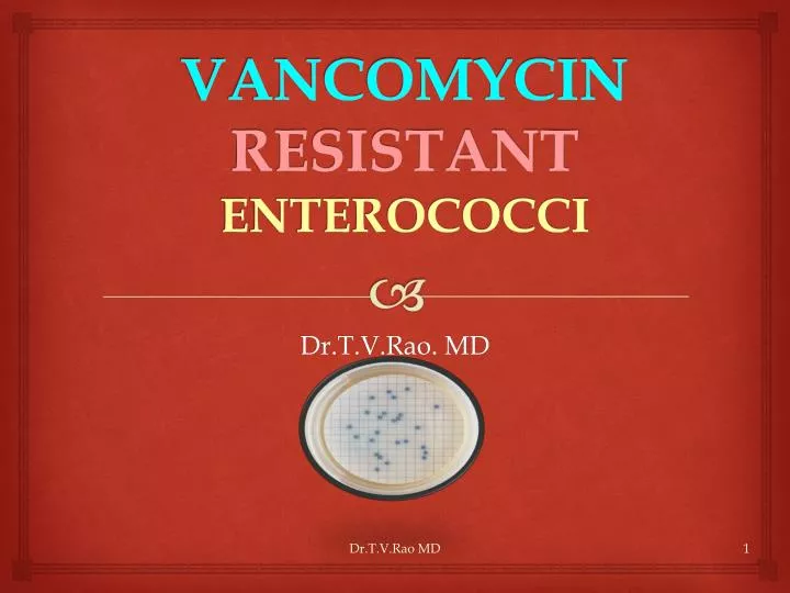 vancomycin resistant enterococci